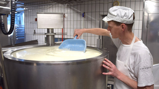 Verstärkung gesucht